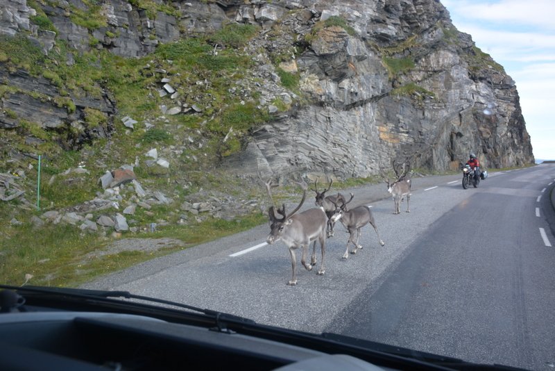 2017 Lofoten (1000)