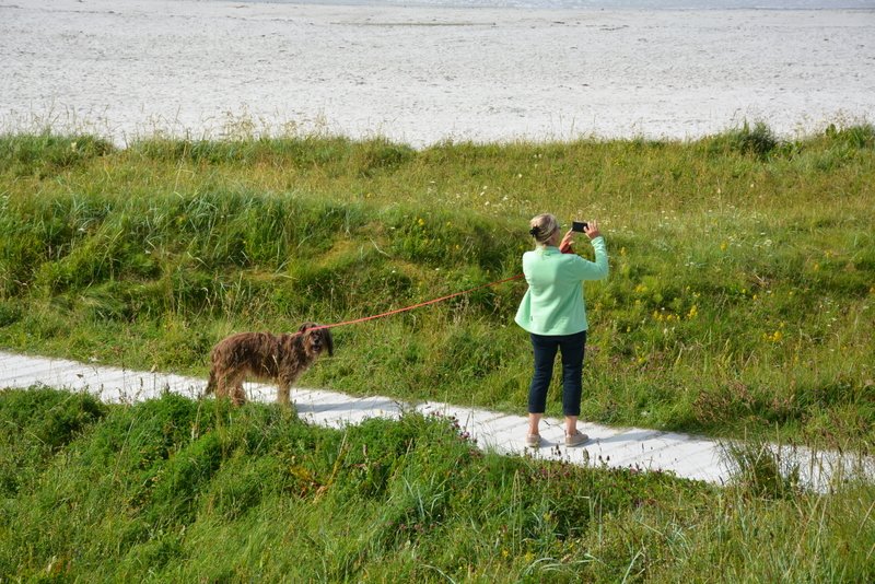 2017 Lofoten (682)