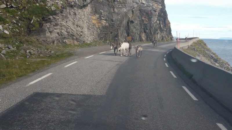 2017 Lofoten (996)